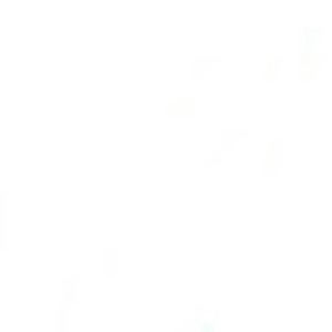 Meet your Posher, Vinny